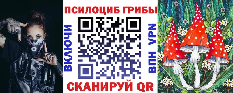 Галлюциногенные грибы Magic Shrooms  где купить наркотик  Шелехов 